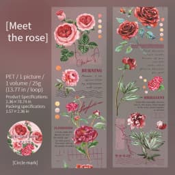 2m/roll Junk Journal Collage Material Stickers Creative Text Plants Flowers PET Masking Tape Scrapbook DIY Supplies Stickers