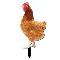 Chicken Decor Acrylic Hen Statue Poultry Ornament Ground Plug Lifelike Rooster Stakes Sign For Garden Lawn Yard Patio Decor