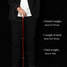93cm Lion-Head Resin Walking Stick Detachable German Beech Wooden Canes Men Women Fashionable Party Decorative Walking Sticks