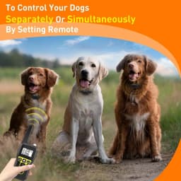 No Shock Vibration Dog Training Collar 1000M Remote Anti Bark Collar Rechargeable Waterproof Vibration Collar for All Dogs