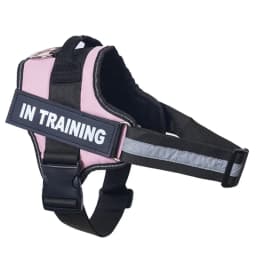 Customized Dog Harness Personalized Reflective Pet Harness For Small Medium Large Dogs Breathable Mesh Pad Dog Harness No Pull