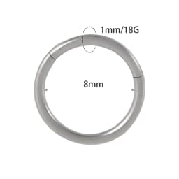 1PC Surgical Steel Nose Rings Septum Clicker Segment Hinged Ring Nose Ear Cartilage Tragus Helix Ear Lobe Body Piercing Jewelry