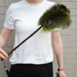 Portable Peacock Ostrich Feathers Duster Brush Handle Anti-static Cleaning Tools Household Dust Sweeping Brushs Multi-function
