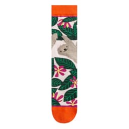 Fashion Colorful Spring Autumn Stocking Women's Socks Plant Hedgehog Slothsi Cotton Socks Personality Straight Trendy Socks