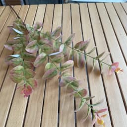 10Pc 3D Printing Eucalyptus Leaves Artificial Plants Wedding Road Leads Flower Arrangement Home Decoration Party Eucalyptus Leaf