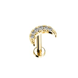 ASTM F136 G23 Titanium Flower Moon Heart Threadless Piercing Leaf Drop Pin Push in Lip Stud Daith Conch Earring 16G 18G 20G