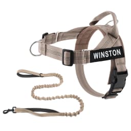 Custom Name No Pull Dog Harness Elastic Buffer Leash Set Adjustable Reflective Nylon Walking Lead for Small Medium Large Dogs