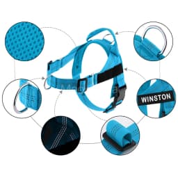Personalized No Pull Dog Harness with Name Patch Escape-Proof Adjustable Reflective Soft Padded Dog Vest for Training Walking