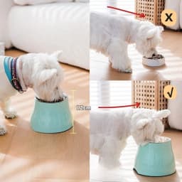Macaron Color High Bowl Non Slip Cervical Spine Protection Stainless Steel Removable Pet Rice Bowl Water Bowl Pet Supplies