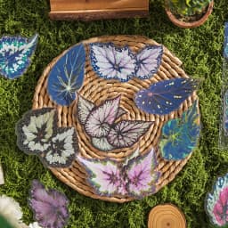 20 pcs Plants Flowers Leaf PET Sticker pack Hand Account Collage Junk Journal Planner Scrapbooking Decor Stationery Stickers