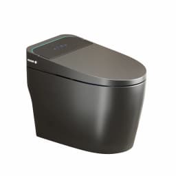 Unique Smart Toile, One Piece Toilet with Bidet Built In,Intelligent Toilet Auto Open/Close Seat. Bidet toilet with Dryer and Warm Water.Gray