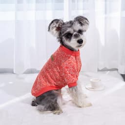 Cute Knitted Sweater for Dogs Warm Winter Jacket Cat Clothing Round Neck Pullover Pet Sweater for Small Medium Dogs Teddy,