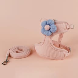 Cat Harness and Leash Sets Adjustable Dog Harness for Small Dog Leash Breashable Pet Harness Out Walking Dog Strap