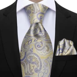 Men's 2pcs Paisley Tie Set Luxury Wedding Blue Brown Grey Necktie Handky Gift For Men Fashion Designer Business Party Tie Gift