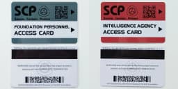 High Quantity Text Clear Letters Printed PVC SCP Hard Card Patches,top Hardboard,hardcard 8.5*5.5CM WF23461