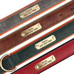 Personalized Customized Leather ID Nameplate Dog Collar Soft Padded Dogs Collars Free Engraving Name for Small Medium Large Dogs