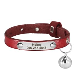 Personalized Nameplate Cat Collar Safety Custom Cat Collars Necklace Free Engraved ID Name Tag For Puppy Kitten Cats Accessories