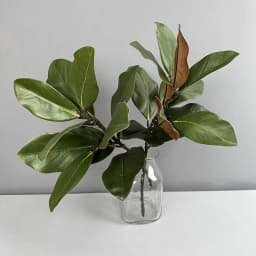 2pcs Artificial Magnolia Leaf Green Plant Floral Plastic Simulation Magnolia Branch Fake Plants Leaves Shopping Mall Decoration