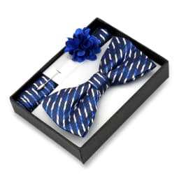 Classic High Quality Bow Tie Set Box Gift For Men Fashion Elegant Bowtie Handchief And Brooch Set Wedding Business Accessories