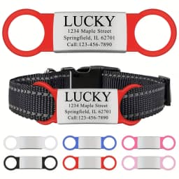 Customized Stainless Steel Engraved Nameplate For Pet Identification Cat And Dog ID Tag Installed On Collar With Name And Phone