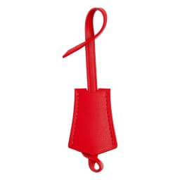 Luggage Tag Boarding Pass For Speedy 25 30 Soft Keychain Bag Hanging Replacement Bag Strap Bag Insert Modification Accessories