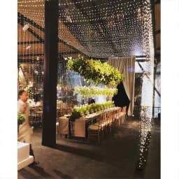30m 50m 100m LED String Fairy Lights Remote Control Waterproof Plug in for Indoor Outdoor Christmas Holiday Wedding Garden Decor