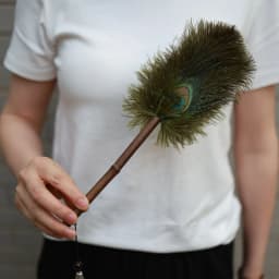 Portable Peacock Ostrich Feathers Duster Brush Handle Anti-static Cleaning Tools Household Dust Sweeping Brushs Multi-function