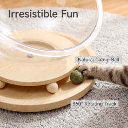 Transparent Acrylic Cat Spaceship Nest 2 In 1 Cat Bed & Rotating Turntable Toy With Wood Play Ball Four Season Pet Cat House