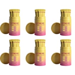 Berberine HCl Drink Powder for Metabolism Support & Gut Balance with Yerba Mate Chromium Ginger Inulin Vitamin B6 B12 30 Sticks