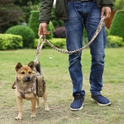 Tactical Dog Leash Adjustable Quick Release Elastic Leads Rope With 2 Control Handle Military Heavy Duty Dog Leashes For Dogs