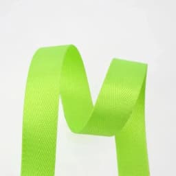 2 Meters Nylon Webbing Tape Backpack Band Strap Dog Collar Harness Outdoor Backpack Strapping Sewing Bag Parts