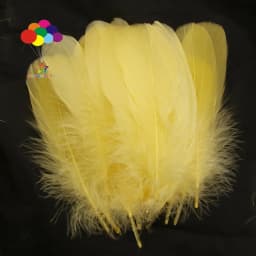 100PCS Soft Goose Feathers 5-7 Inch/13-18cm For Wedding Party Decoration Carnival Diy Facinator