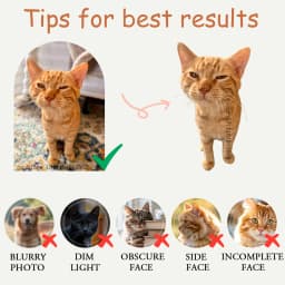 IHX Ugly Cat Dog Zany Pillow,Custom Pet 3D Pillow,Personalized Pet Pillow From Photo,Pet Loss Memorial Gift,Stuffed Toys Dolls