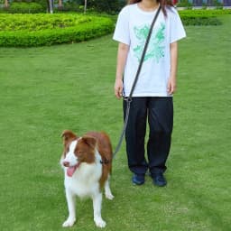 Dog Leash Hands Free Dogs Leash Reflective Leashes for Dog Walking Running Rope 2.4M Long Adjustable Double Leashes Dogs Ropes