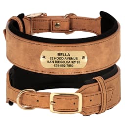 Personalized Leather Dog Collar Soft Wide Padded Collars For Medium Large Dogs With Free Engraved Nameplate Dog Accessories