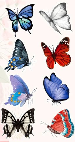 500Pcs Butterfly Flower Shaped Sticker Decoration Gift Box Sticker Label Stationery Sticker