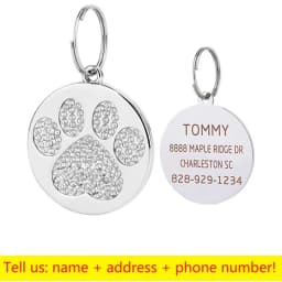 Stainless Steel Engraved Pet Name Collar Pendant ID Tags Personalized Anti-lost Engraved Diamond Pendant Necklace For Cat Dog ID