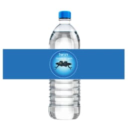 30pcs Custom Bar Mitzvah Water Bottle Labels Stickers Personalise Bat Mitzvah Tefillin Jewish Party Sticker Hebrew Any Language