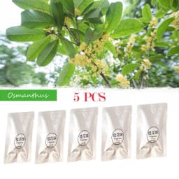 Car Vent Air Freshener Invisible Solid Aromatherapy Air Conditioning Outlet Perfume Modeling Chip Supplement Bar Accessories