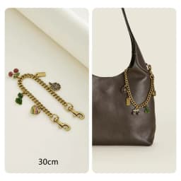 Bag Chain Suitable For Coach Brooklyn 28 Bag Extension Chain Bags Underarm Decorative Diy Chain Bag Accessories