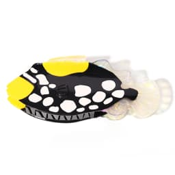 Y2K Multiple Styles Ocean Series Large Size Hair Clip Claw For Women New Funny Acetate Tortoise Octopus Barrettes Headwear