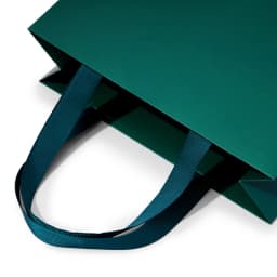 Oirlv 10Pcs Green Gift Bags Ribbon Handle Customizable Jewelry Shopping Bag Reusable Gift Packaging Bags Paper Gift Bags Packing