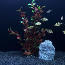30cm High Aquarium Simulated Water Plants Fish Tank Landscaping Plastic Water Plants Micro Landscape Decoration