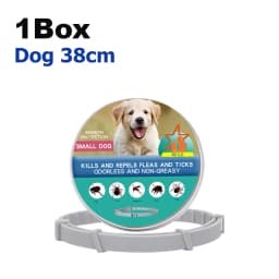 Flea Collar 8 Months Protection Pet Anti Flea Tick Neck Collar Natural Flea and Tick Prevention Collar for Dogs and Cats