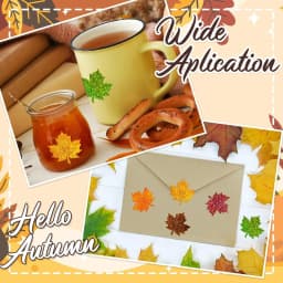 500Pcs Fall Thanksgiving Leaf Stickers 5 Colors Maple Leaf Decals Holographic Self Adhesive Label Stickers Roll for Autumn