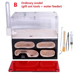 Acrylic Ant Farm Infinite Splicing Ant Nest Temperature Control Concrete Insect House Colony Drinker Anthill Kit Accessories