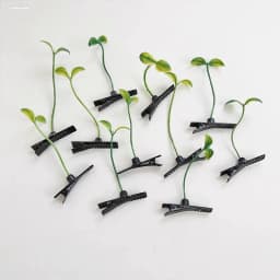 5-100pcs Grass Style Hair Clips Cute Sprout Plant Hairpins Novelty Hair Accessories for Women Girls Party Cosplay Funny Headwear