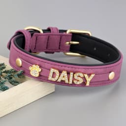 Personalized Soft Dog Collar PU Leather Puppy Cat ID Collars Free Rhinestone Charm Dog Accessory For Small Medium Dogs Chihuahua