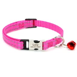 Personalized Nameplate Cat Collar Safety Custom Cat Collars Necklace Free Engraved ID Name Tag For Puppy Kitten Cats Accessories