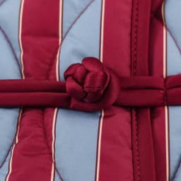 2026 Autumn Winter Women's Elegant Striped Warm Padded Parkas Coats Lady Vintage Chinese Knotted Buttons Loose Pocket Jackets